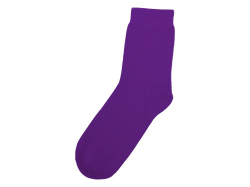 Носки Socks женские фиолетовые, р-м 25